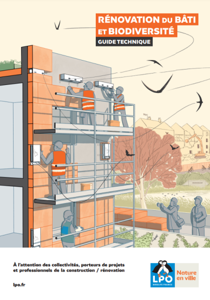 Rénovation du bâti et biodiversité : le guide technique